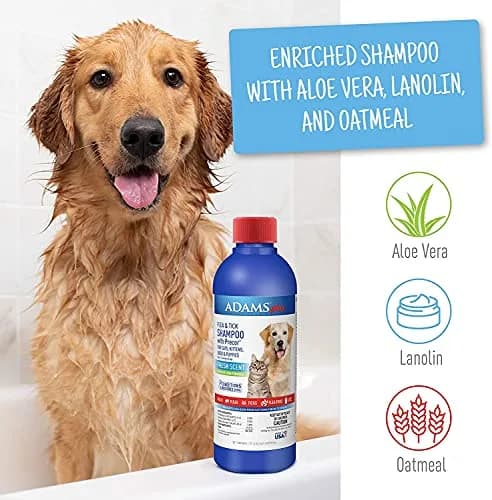 ADAMS Carpet Powder & Shampoo Bundle | Flea & Tick Control for Cats & Dogs, 16oz (473ml) | Long-Lasting Flea Cycle Breaker thumbnail 3