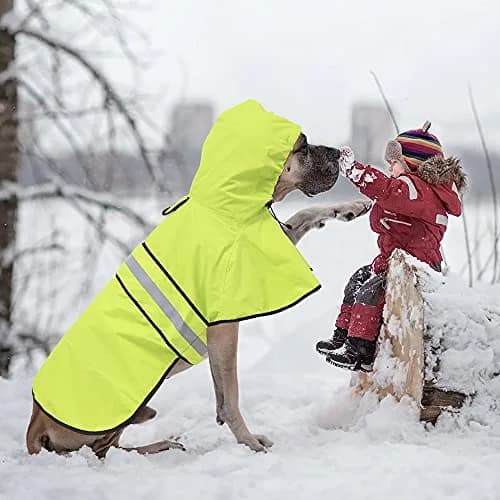 Ezierfy Dog Raincoat - Reflective Pet Rain Jacket for Dogs, Adjustable Hooded Raincoat, Small to X-Large Dogs, Neon Green | Waterproof & Safe thumbnail 7