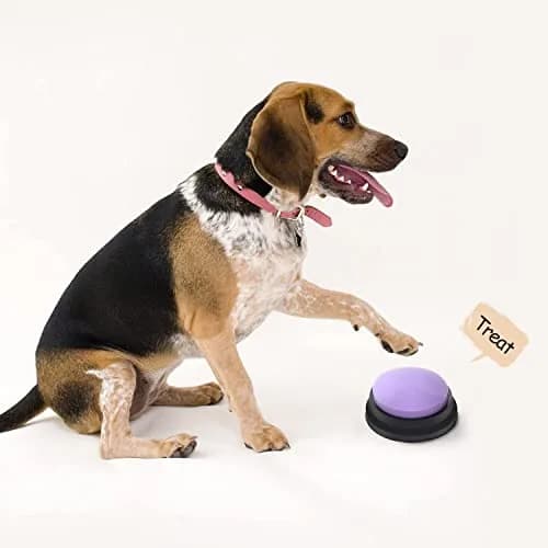 OFVENS Voice Recording Button 4 Packs | Record & Playback for Pet Training & Fun Gifts thumbnail 3