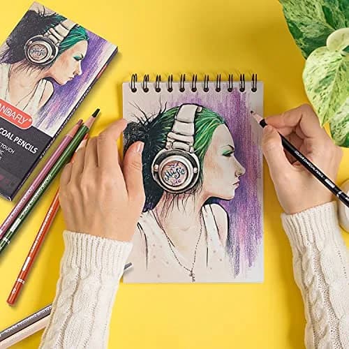 PANDAFLY Professional Colored Charcoal Pencils Drawing Set 12 Colors | Non-Toxic Art Drawing Pencils thumbnail 4
