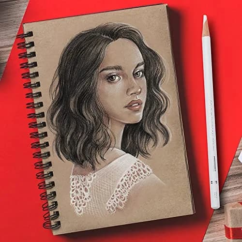 PANDAFLY Professional Colored Charcoal Pencils Drawing Set 12 Colors | Non-Toxic Art Drawing Pencils thumbnail 5