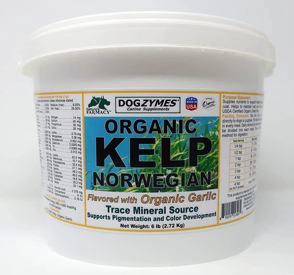 Dogzymes Organic Norwegian Kelp Enhanced with Garlic 6 Pound | Supports Thyroid & Skin