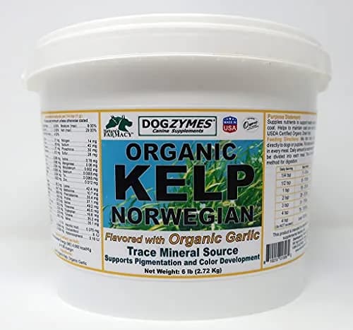 Dogzymes Organic Norwegian Kelp Enhanced with Garlic 6 Pound | Supports Thyroid & Skin thumbnail 1