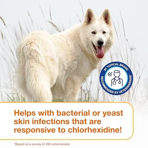 Douxo S3 PYO Medicated Dog Mousse 150 mL | Supports Bacterial & Yeast Skin Infections thumbnail 7