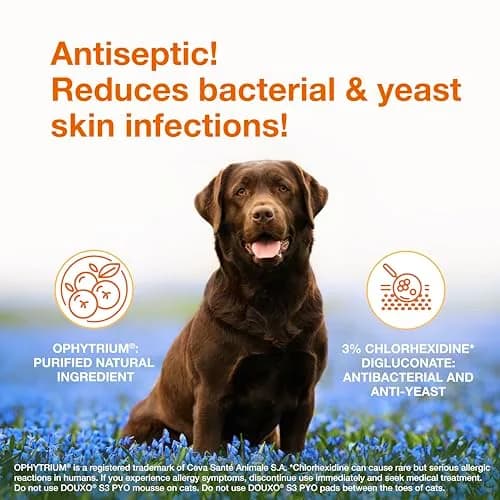 Douxo S3 PYO Medicated Dog Mousse 150 mL | Supports Bacterial & Yeast Skin Infections thumbnail 2
