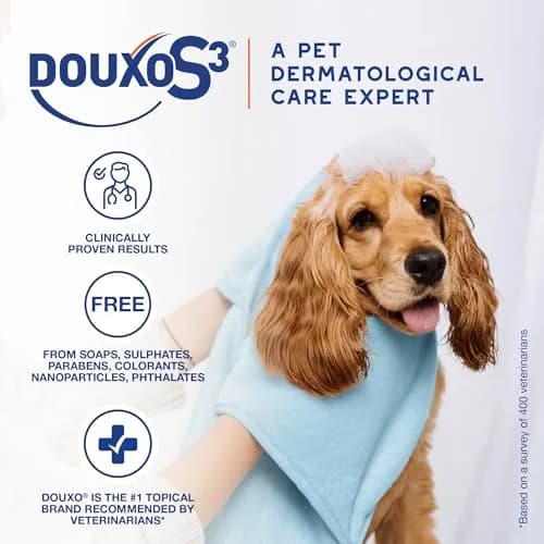 Douxo S3 PYO Medicated Dog Mousse 150 mL | Supports Bacterial & Yeast Skin Infections thumbnail 4