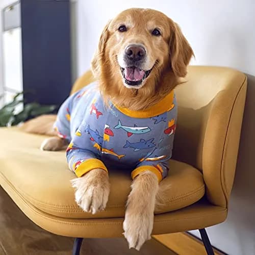 Yeapeeto Dog Recovery Suit After Surgery Medium Large | Cone Alternative & Wound Protector (7XL) thumbnail 4
