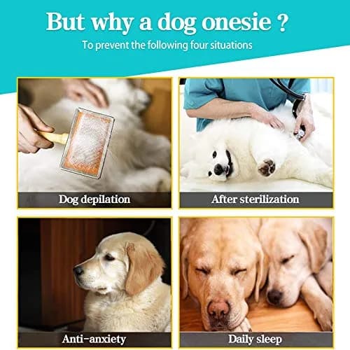 Yeapeeto Dog Recovery Suit After Surgery Medium Large | Cone Alternative & Wound Protector (7XL) thumbnail 7