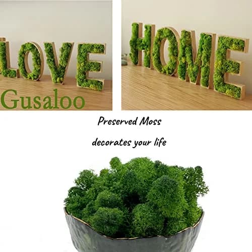 Gusaloo Preserved Moss for Potted Plants 3.5oz | Long-Lasting Green Moss for Craft & Decor thumbnail 3