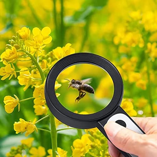 Arsir Magnifying Glass with Light for Reading | 3 Light Modes, 18 LEDs, Large 3.15 inch Lens, Seniors & Low Vision Support thumbnail 2