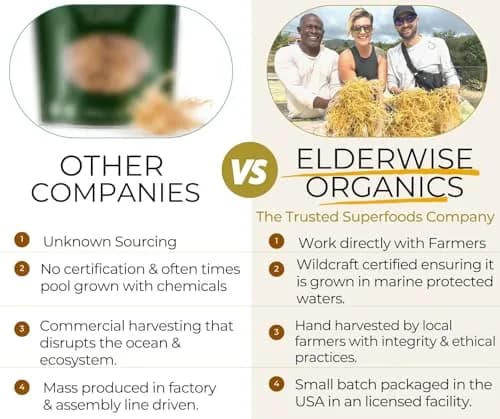 Elderwise Organics Golden Sea Moss 2.5oz (70.87g) | Wildcrafted Gracilaria for Gel & Smoothies thumbnail 4