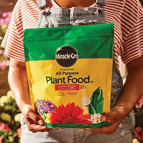 Miracle-Gro Water Soluble All Purpose Plant Food 2.27 kg (5 lb) | Feeds All Plants Instantly thumbnail 4