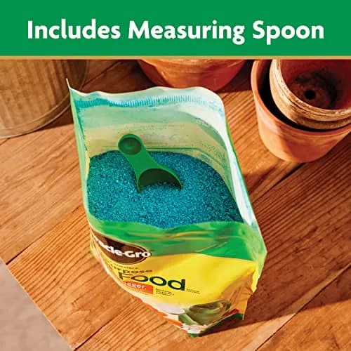 Miracle-Gro Water Soluble All Purpose Plant Food 2.27 kg (5 lb) | Feeds All Plants Instantly thumbnail 3
