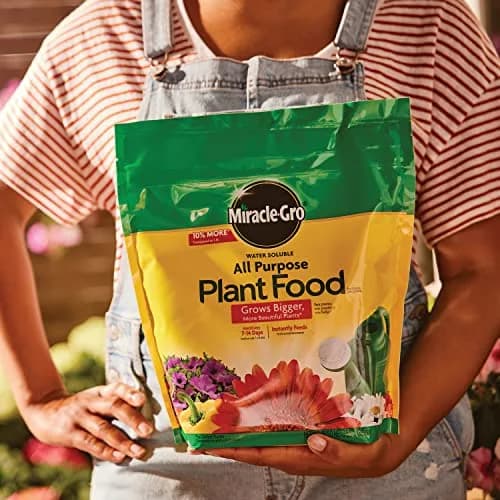 Miracle-Gro Water Soluble All Purpose Plant Food 5.5 lb (2.49 kg) | Feeds All Plants Instantly thumbnail 4