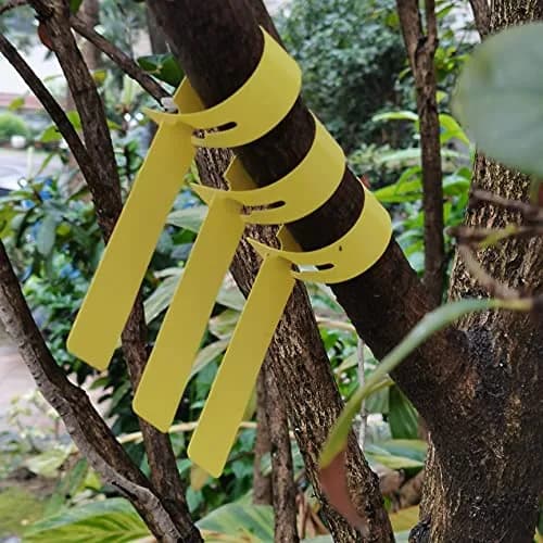 MIHEY Yellow Plastic Plant Tags with Marker Pen, 20cm (7.87 inch) - 200 Pcs | Durable & Waterproof Garden Markers thumbnail 7