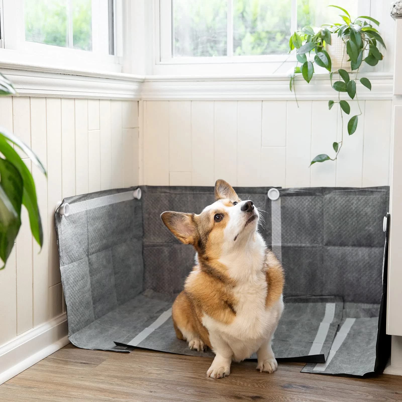 MYMOON HOME Pee PAD Holder (Pack of 2) | Magnetic Wall Mount for Puppy Training Pads - view 8