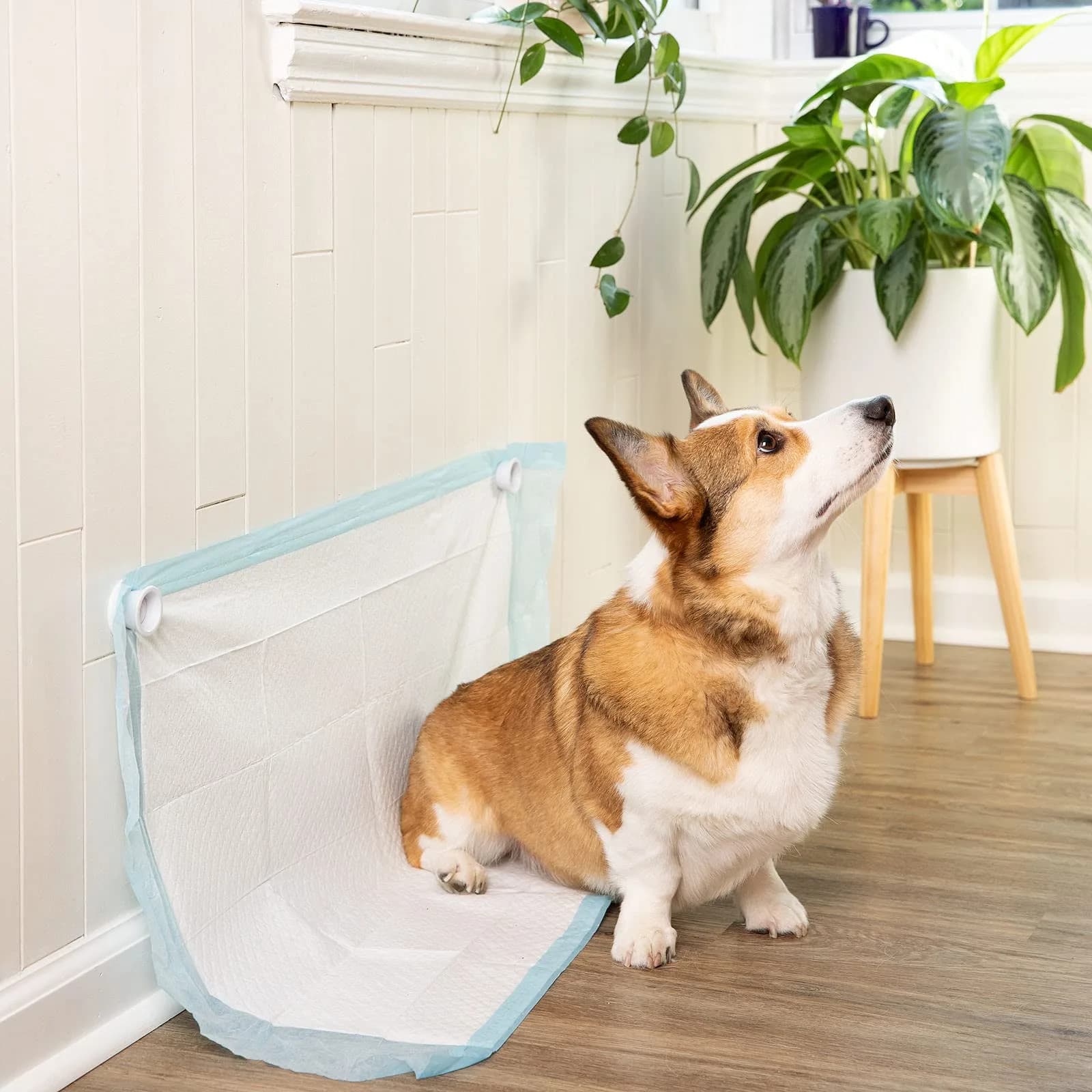 MYMOON HOME Pee PAD Holder (Pack of 2) | Magnetic Wall Mount for Puppy Training Pads - view 9