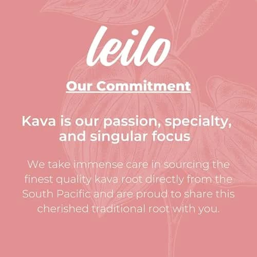 LEILO Kava Powered Sparkling Relaxation Drink | Raspberry Hibiscus | 12 fl oz Can (Pack of 12) for Calm & Social Ease thumbnail 5