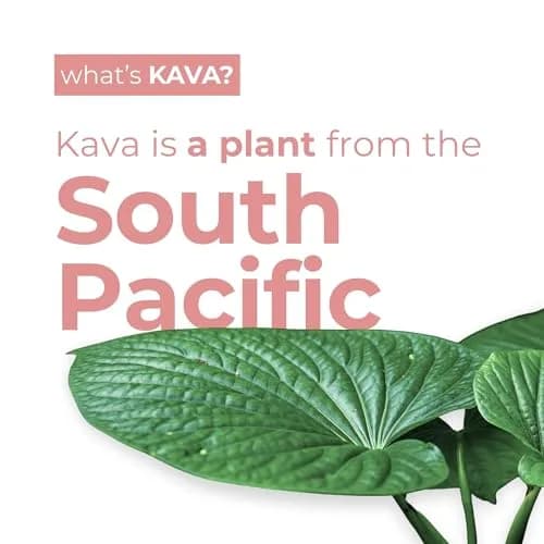 LEILO Kava Powered Sparkling Relaxation Drink | Raspberry Hibiscus | 12 fl oz Can (Pack of 12) for Calm & Social Ease thumbnail 3