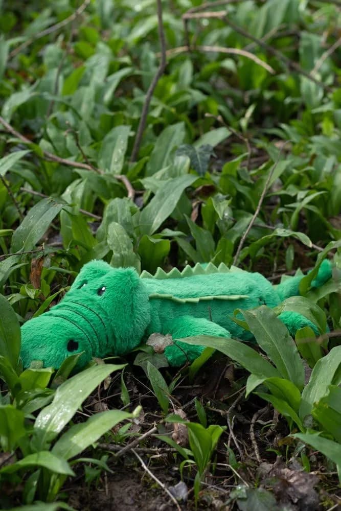 Petface Planet Carlos the Crocodile Eco Friendly Plush Dog Toy 40cm (15.7in) | Recycled Materials & Squeaker - view 6