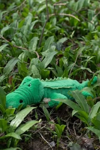 Petface Planet Carlos the Crocodile Eco Friendly Plush Dog Toy 40cm (15.7in) | Recycled Materials & Squeaker thumbnail 6