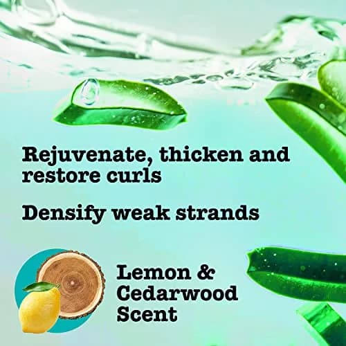 Maui Moisture Thicken & Restore Bamboo Fibers Shampoo and Conditioner Set | 26 Fl Oz (Pack of 2) | Strengthens & Softens Curly Hair thumbnail 4