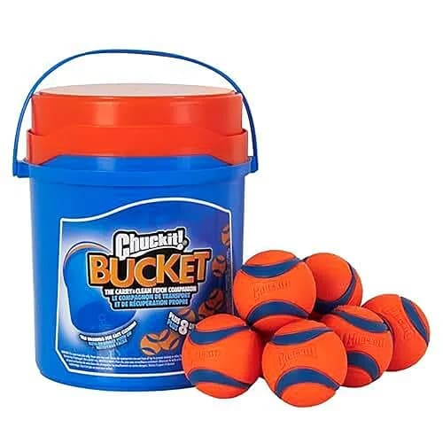 Chuckit! Ultra Ball Dog Toy 8-Pack with Bucket - Medium (6.4 cm) | Durable Rubber Fetch Balls for Dogs 20-60 lbs thumbnail 1