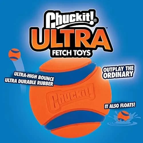 Chuckit! Ultra Ball Dog Toy 8-Pack with Bucket - Medium (6.4 cm) | Durable Rubber Fetch Balls for Dogs 20-60 lbs thumbnail 2