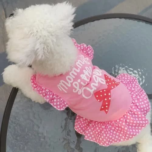 XPUDAC Small Dog Dress 4 Pack | Cute Pink Angel Pet Apparel for Small Dogs & Cats thumbnail 6