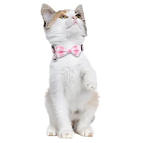 Lamphyface 2 Pack Cat Collar Breakaway with Bow Tie and Bell | Adjustable Cotton Pet Accessory for Small Cats thumbnail 5
