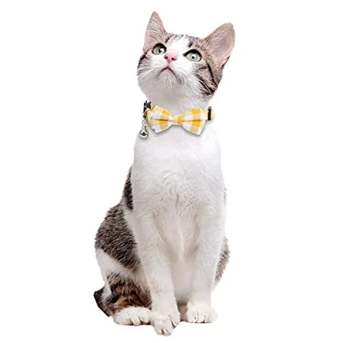 Lamphyface Cat Collar 8-11" | Adjustable Breakaway Safety with Bow & Bell (100-120 chars) thumbnail 5
