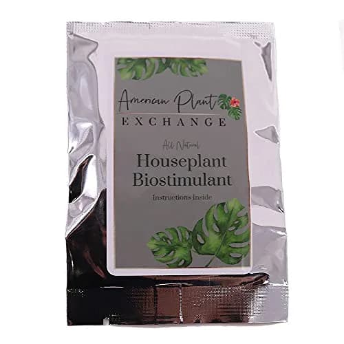 American Plant Exchange Indoor Plant Food Tabs – 2-Pack Organic Fertilizer | Slow Release for Houseplants thumbnail 1