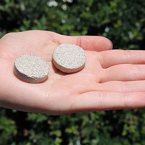 American Plant Exchange Indoor Plant Food Tabs – 2-Pack Organic Fertilizer | Slow Release for Houseplants thumbnail 3