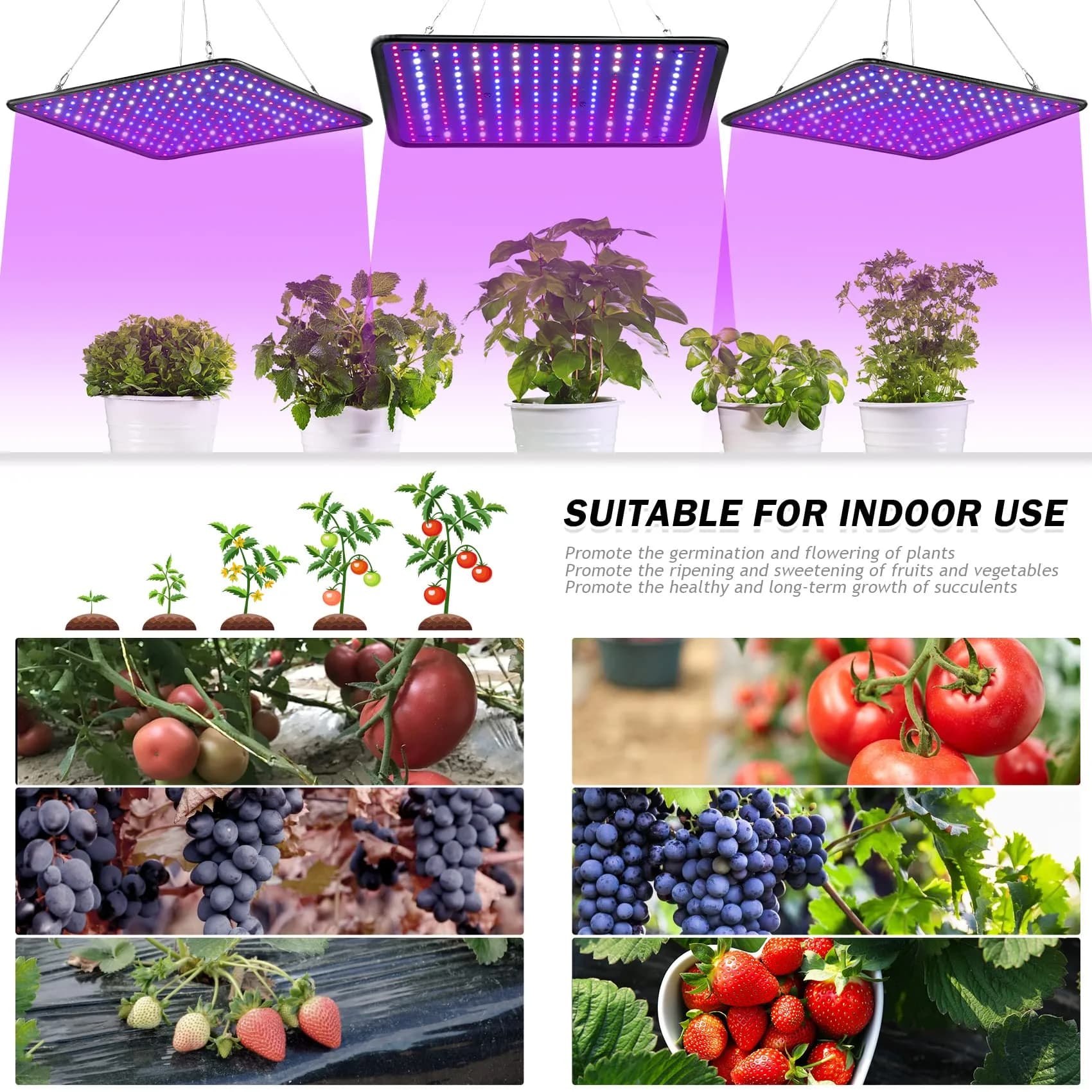 SERWING 200W LED Grow Light Full Spectrum, Plant Growing Lamp 25cm (9.8in) | 256 LEDs for Indoor Plants, Greenhouse, Grow Tent, Hydroponics - view 6
