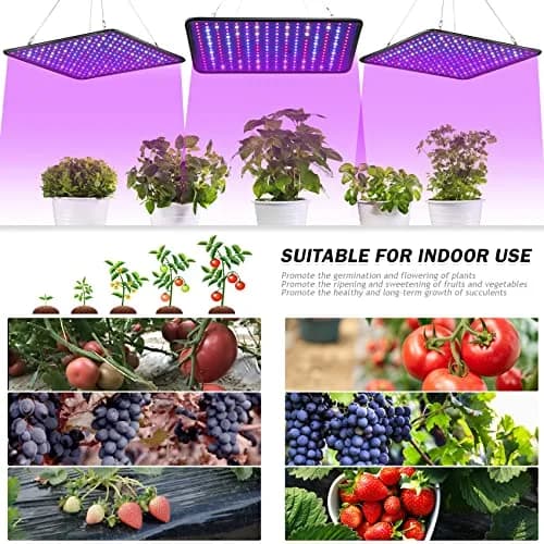 SERWING 200W LED Grow Light Full Spectrum, Plant Growing Lamp 25cm (9.8in) | 256 LEDs for Indoor Plants, Greenhouse, Grow Tent, Hydroponics thumbnail 6