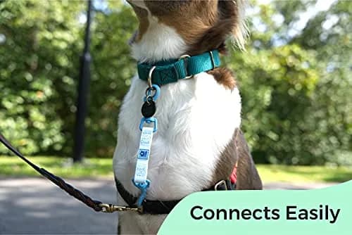 Gentle Creatures Collar Companion Waterproof Dog Safety Backup Clip 18cm (7") | Secure Anti-Escape Backup Clip thumbnail 4
