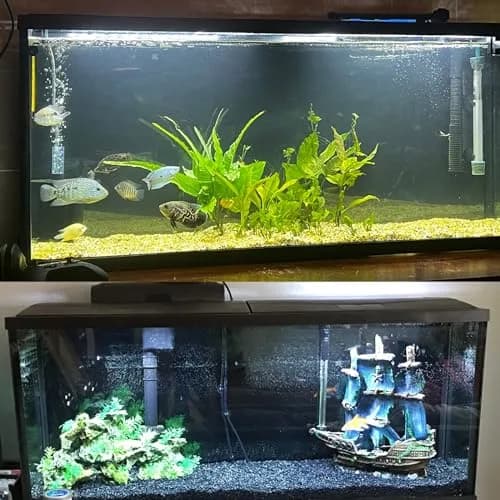 ELEBOX Aquarium Background Blue Black Fish Tank Background 20" x 48" | Double-Sided HD Aquarium Wallpaper thumbnail 6