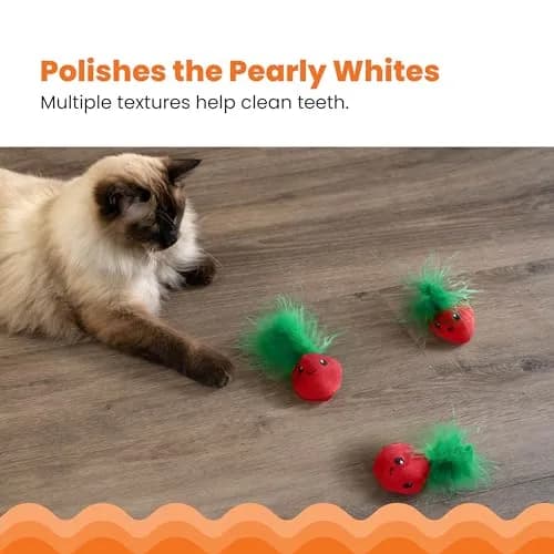 Catstages Strawbabies Dental Cat Chew Toy 3-Pack | Catnip & Feathers for Play & Dental Health thumbnail 4