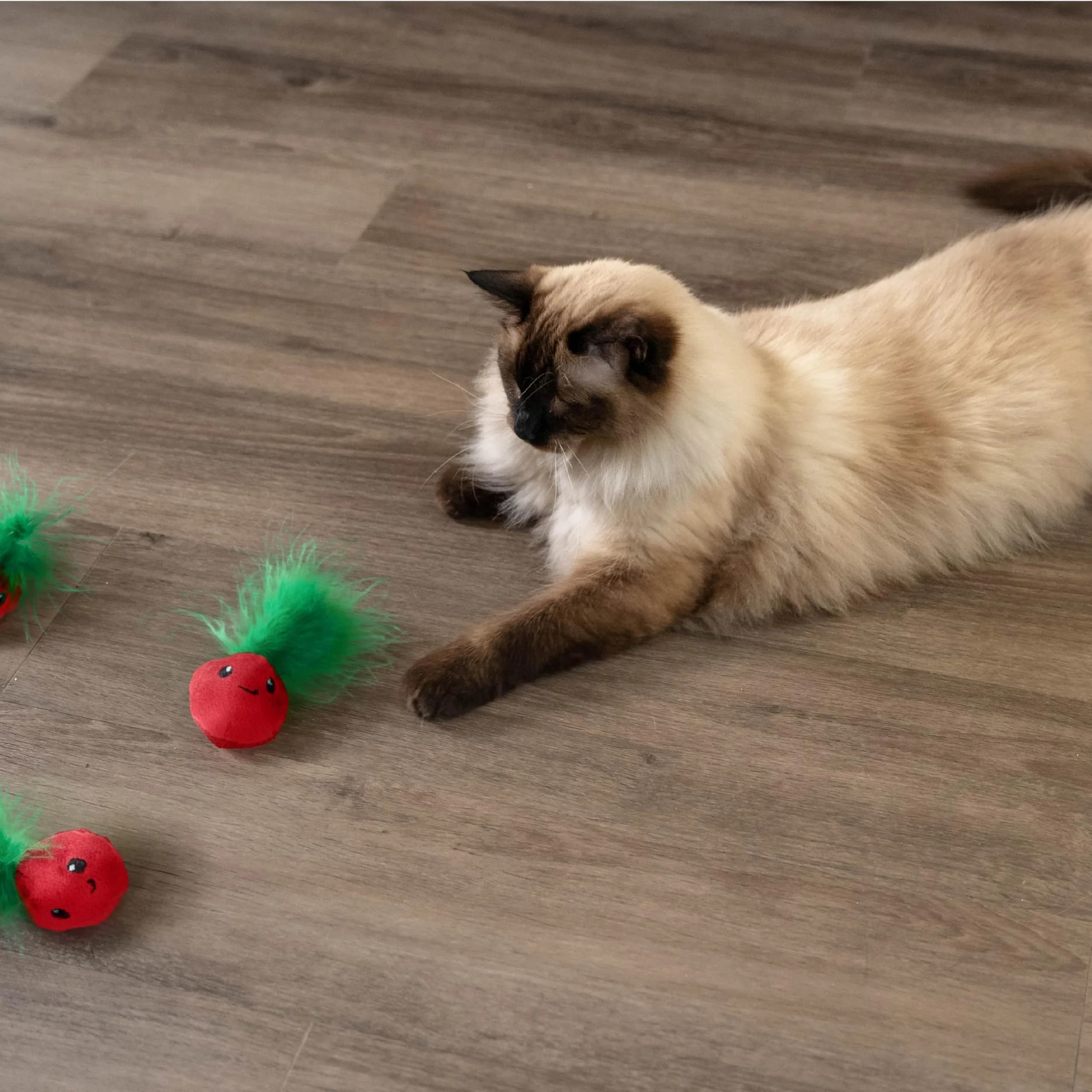 Catstages Strawbabies Dental Cat Chew Toy 3-Pack | Catnip & Feathers for Play & Dental Health - view 8