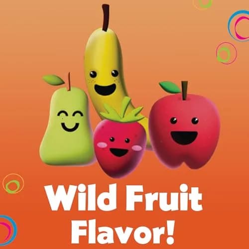 DenTek Kids Fun Flossers Wild Fruit Flavor 90 Count | ADA Accepted Floss Picks for Kids Ages 10 and Under thumbnail 6