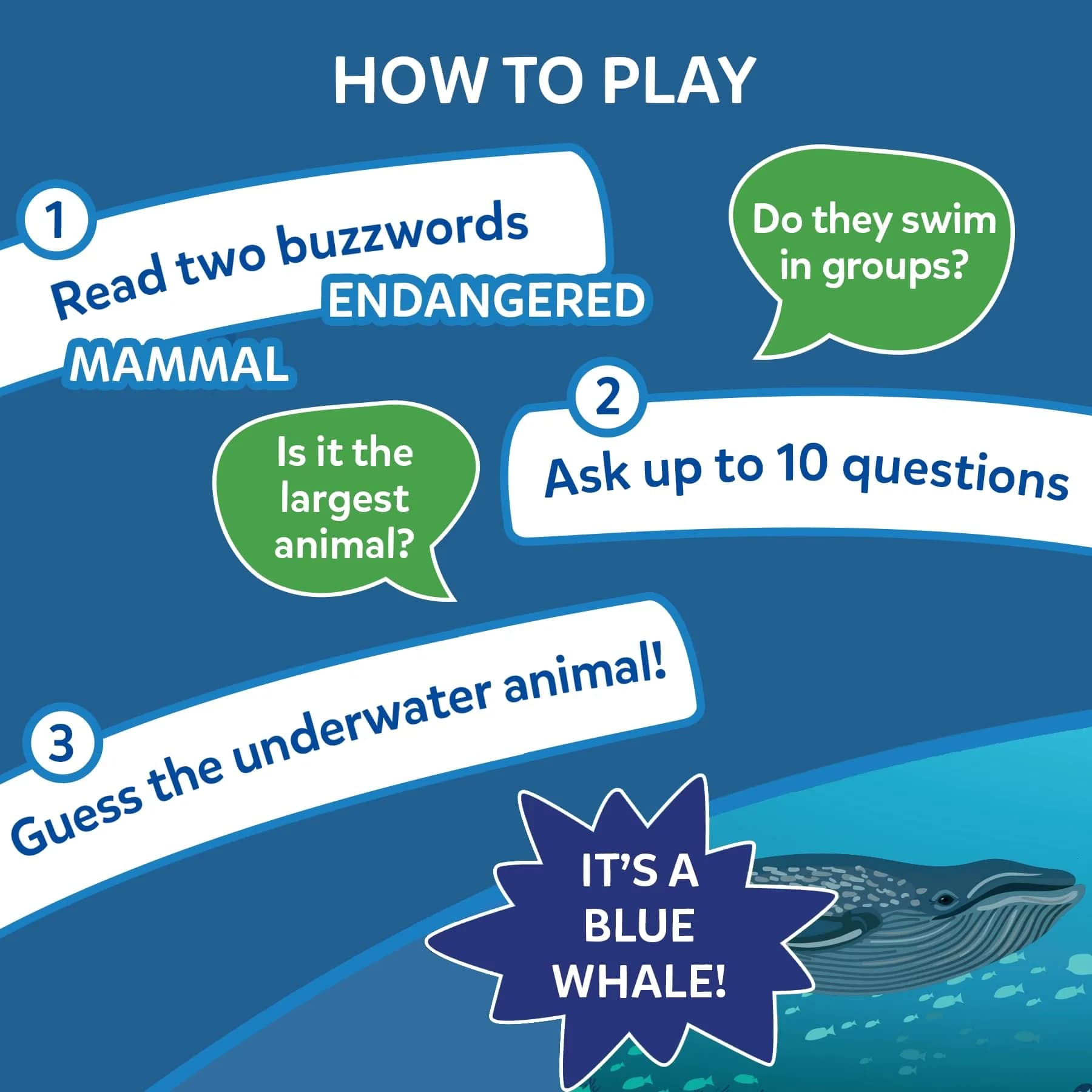 Skillmatics Guess in 10 Underwater Animals Card Game, Educational Travel Toy for Kids Ages 8+ | 50 Game Cards - view 3