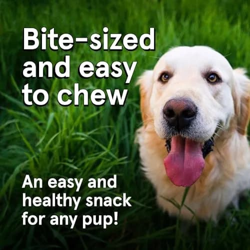 TRMC Real Meat Dog Treats 12oz | Grain-Free, High-Protein Venison & Chicken Jerky for Dogs thumbnail 3