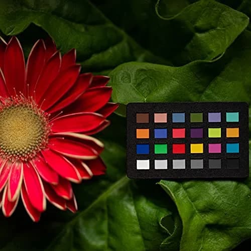 Calibrite ColorChecker Classic Nano Ultra Compact Color Reference Target 24 x 40mm (1 x 1.6 inch) | Macro Photography Color Accuracy thumbnail 4
