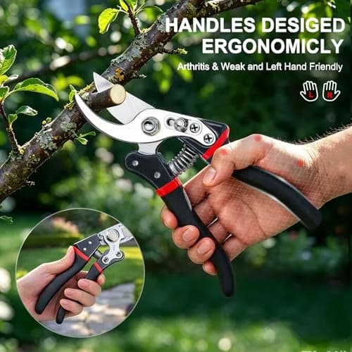 Kynup Heavy Duty Pruning Shears for Gardening, Bonsai Cutters 21.8 cm (8.6 Inches) | SK-5 Steel Blades thumbnail 4
