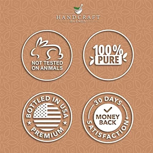 Handcraft Blends Clove Essential Oil 118ml (4 Fl Oz) | Pure, Natural, Premium Grade for Aromatherapy & DIY thumbnail 4
