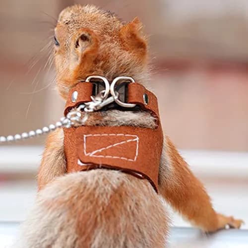 HAICHEN TEC 3 Pack Squirrel Harness and Leash Set - Adjustable Leather & Stainless Steel, Brown | Small Animal Training Vest (70-120c) thumbnail 6
