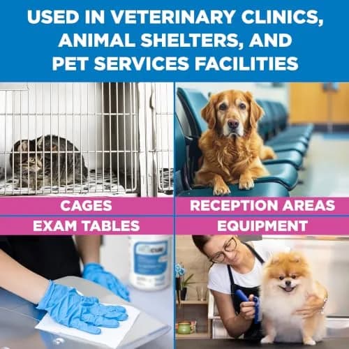 REScue Disinfectant Wipes 12 Pack | Fast-Acting, Safe for Pets & Humans, Eco-Friendly thumbnail 4