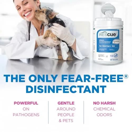 REScue Disinfectant Wipes 12 Pack | Fast-Acting, Safe for Pets & Humans, Eco-Friendly thumbnail 3