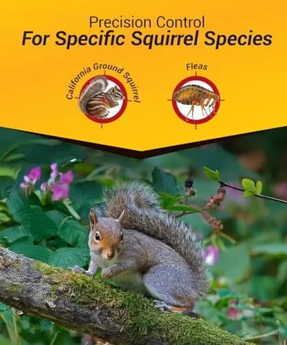 Kaput Ground Squirrel Bait - Effective Fleas & Squirrel Killer with Diphacinone & Imidacloprid | Targeted Outdoor Pest Control (5 lbs) thumbnail 4