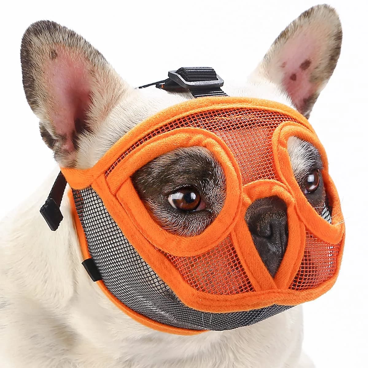 BARKLESS Short Snout Muzzle for French Bulldog, Shih Tzu | Breathable Mesh & Adjustable Strap — Orange / M (Head 18.0-20.5'')